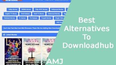 Alternatives to Download Hub