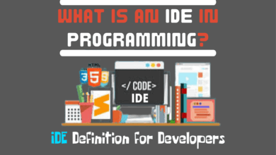What is an IDE With Example