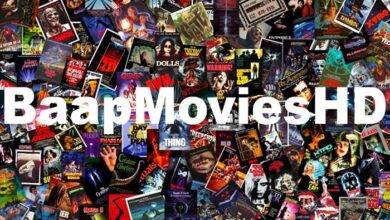 Why BaapMoviesHD is Not Working on Your Computer