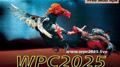 Why You Should Check Out WPC2025