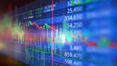 How Participants Pick Out The Best Stocks For Long Term Investment