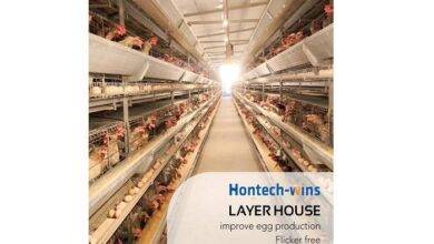 What to Consider When Using Agricultural Lighting