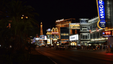 Understanding the Parameters of Probability in Casino Games