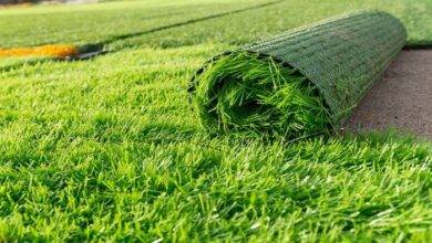 How Much Does Turf Cost