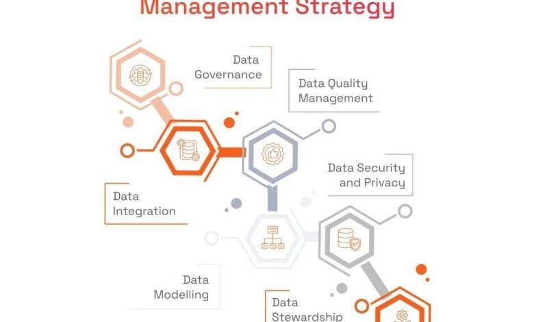 mastering-data-management-strategies-organize-store-protect
